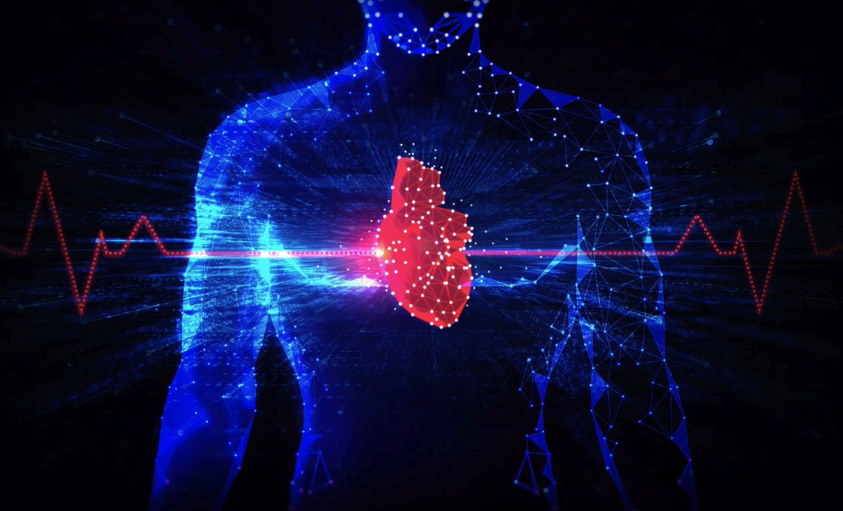 Monash Victorian Heart Institute (@monashvhi) on Twitter photo Can we prevent #HeartDisease after #Cancer? 🫀🎗️
Cardio-oncology is a new field born out of the necessity to address the increasing burden of heart disease among people with, or who have, survived cancer.
Dr Sean Tan explains in Monash Lens: bit.ly/462rZW2 Can we prevent #HeartDisease after #Cancer? 🫀🎗️
Cardio-oncology is a new field born out of the necessity to address the increasing burden of heart disease among people with, or who have, survived cancer.
Dr Sean Tan explains in Monash Lens: bit.ly/462rZW2