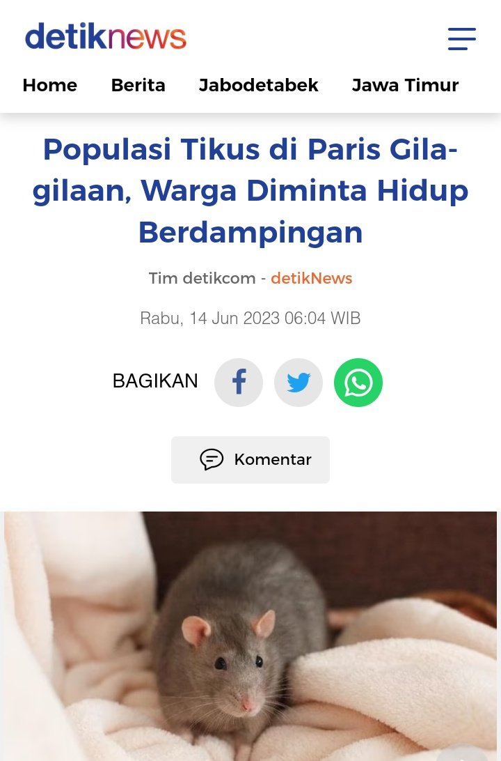 TxtdariHI tweet media