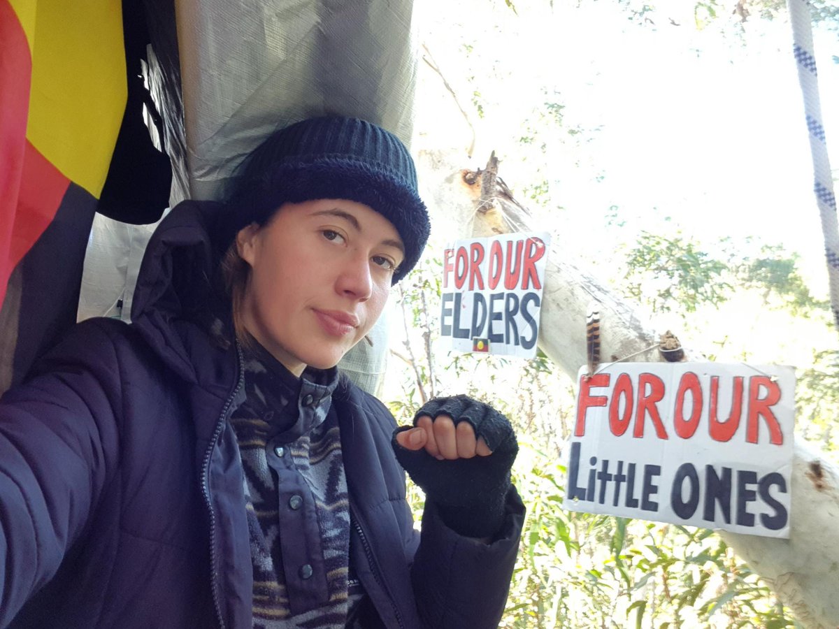 AFCA_Forests's tweet photo. Noon: #Boambee state forest #treesit action @BelloActivists
https://t.co/XCJL6QlSE6
Ella reports that Forestry Corporation have approached the sit but have not yet made contact. There are bulldozers clearing close by.
#WorthMoreStanding #ProtectKoalaHabitat #nswpol https://t.co/Bnl5MEjukI