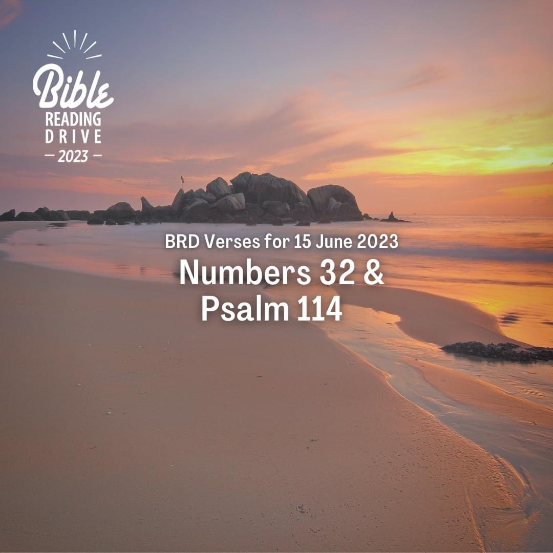#biblereading #numbers #psalms #bibleverse #bibleVerses