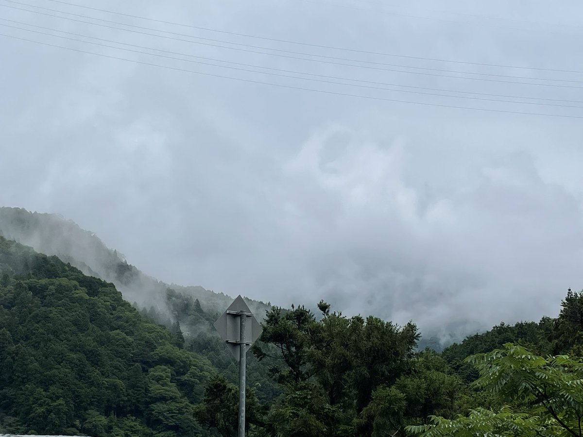 mo1941's tweet photo. 雨だけど自然を満喫♪ https://t.co/qmRJfgAoCH