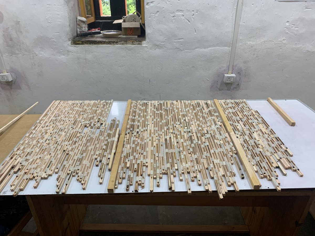 "Throwback to some unforgettable moments in the field! 🌿Each ring holds a story, revealing the challenges, growth, and resilience of these magnificent trees.🌳✨ #ThrowbackThursday #FieldworkAdventures #TreeRingResearch #ForestHistory