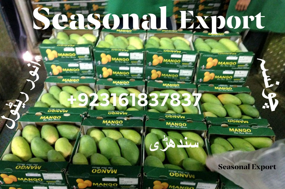 Mangoes +923161837837
.
#mango #mangoes #fibercastpk #frpinstitute #frckhi #gfrcpk #zameen2ghar #seasonalexport #seasonalfresh #mangoseason #mangocake #mangopickle #mangoshake #grcpakistan #madeinpakistan #mangolassi #mangomilkshake #superfoods #organicfruit #mangopulp #trader