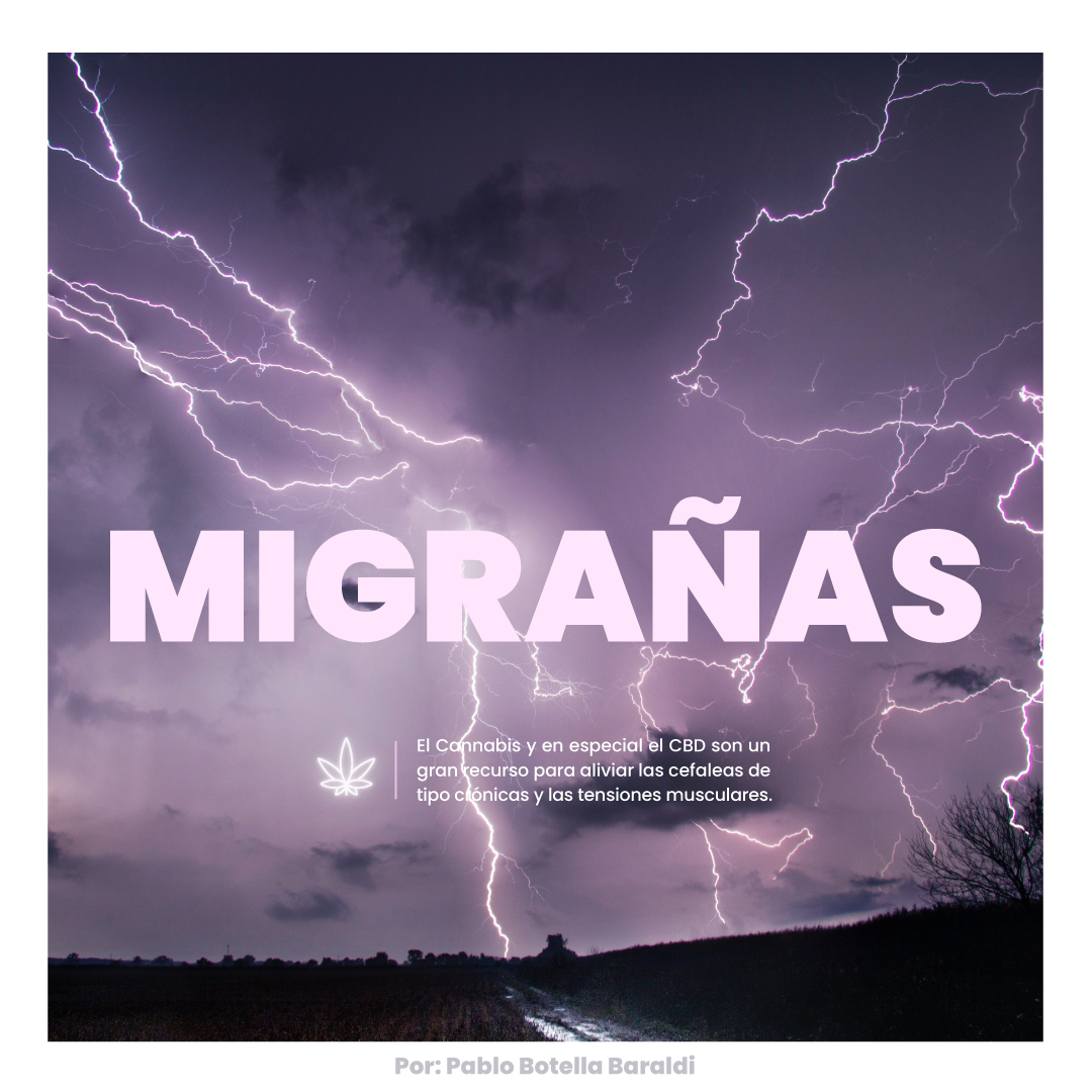 PabloBotellaB's tweet photo. El #CBD es una gran oportunidad para el área de la #Medicina al reducir el rango de las #Cefaleas y la intensidad con la que estas se presentan, esto a causa de las #Migrañas y el desajuste en el Sistema Nervioso y en especifico de las #Meninges. https://t.co/ggW0huimoP