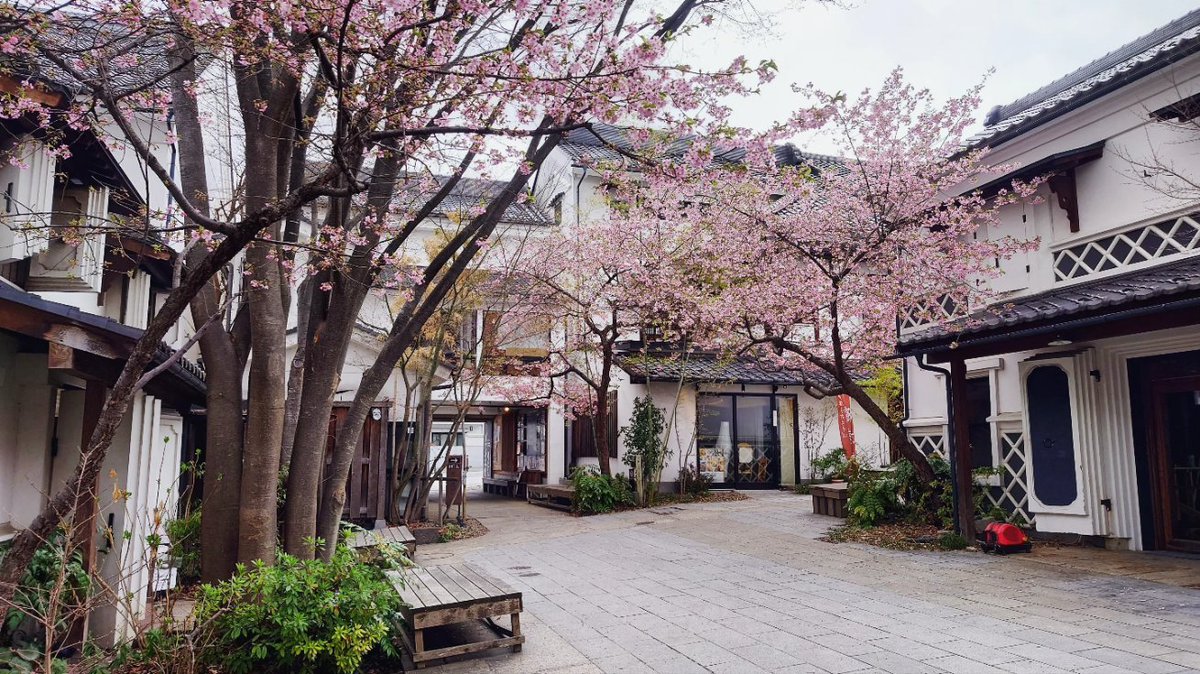 loove_nagano's tweet photo. #春 の写真。 #ぱてぃお大門 #蔵 #桜 #長野市長野 #善光寺大門 #善光寺 #長野市 #長野 #spring #sakura #cherryblossom #patiodaimon #zenkoji #naganocity #nagano https://t.co/JIDKG3z7bh