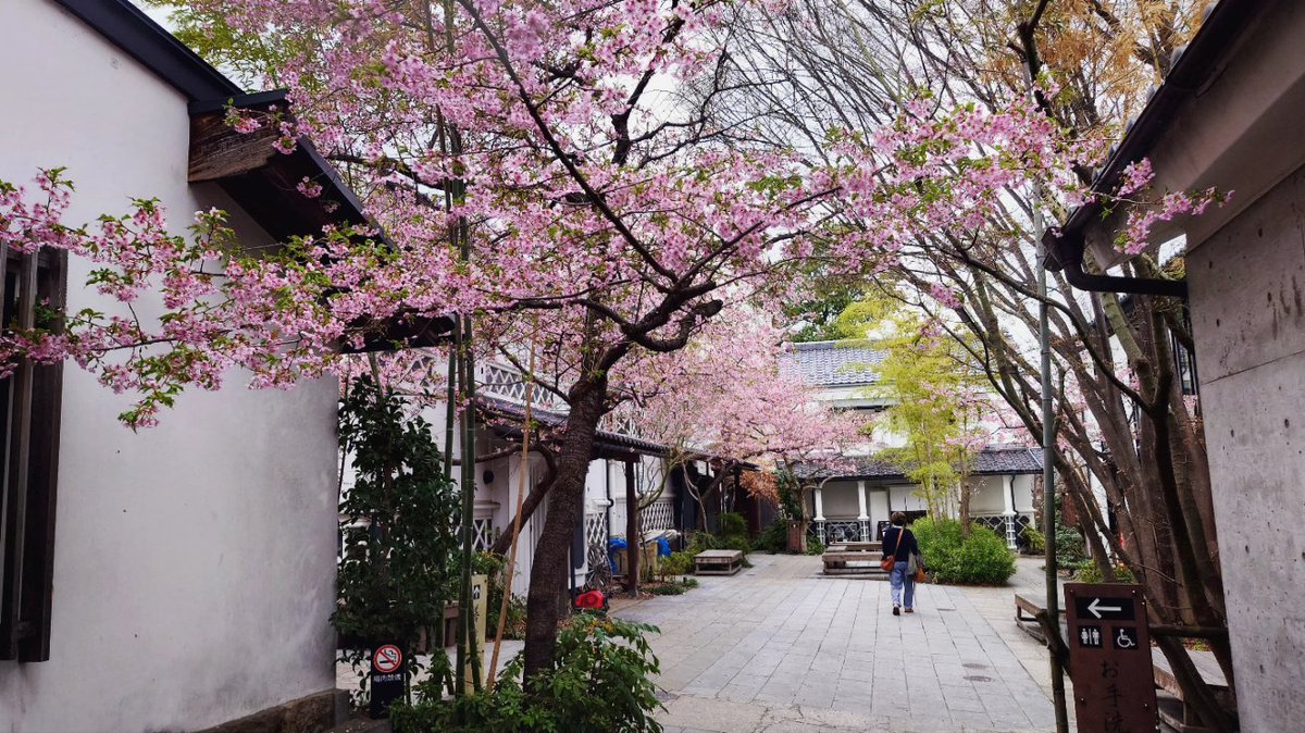 loove_nagano's tweet photo. #春 の写真。 #ぱてぃお大門 #蔵 #桜 #長野市長野 #善光寺大門 #善光寺 #長野市 #長野 #spring #sakura #cherryblossom #patiodaimon #zenkoji #naganocity #nagano https://t.co/JIDKG3z7bh