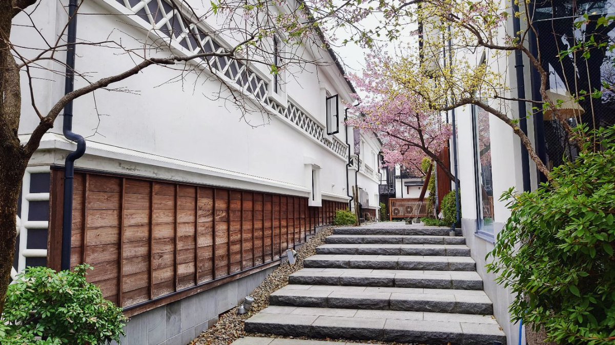 loove_nagano's tweet photo. #春 の写真。 #ぱてぃお大門 #蔵 #桜 #長野市長野 #善光寺大門 #善光寺 #長野市 #長野 #spring #sakura #cherryblossom #patiodaimon #zenkoji #naganocity #nagano https://t.co/JIDKG3z7bh