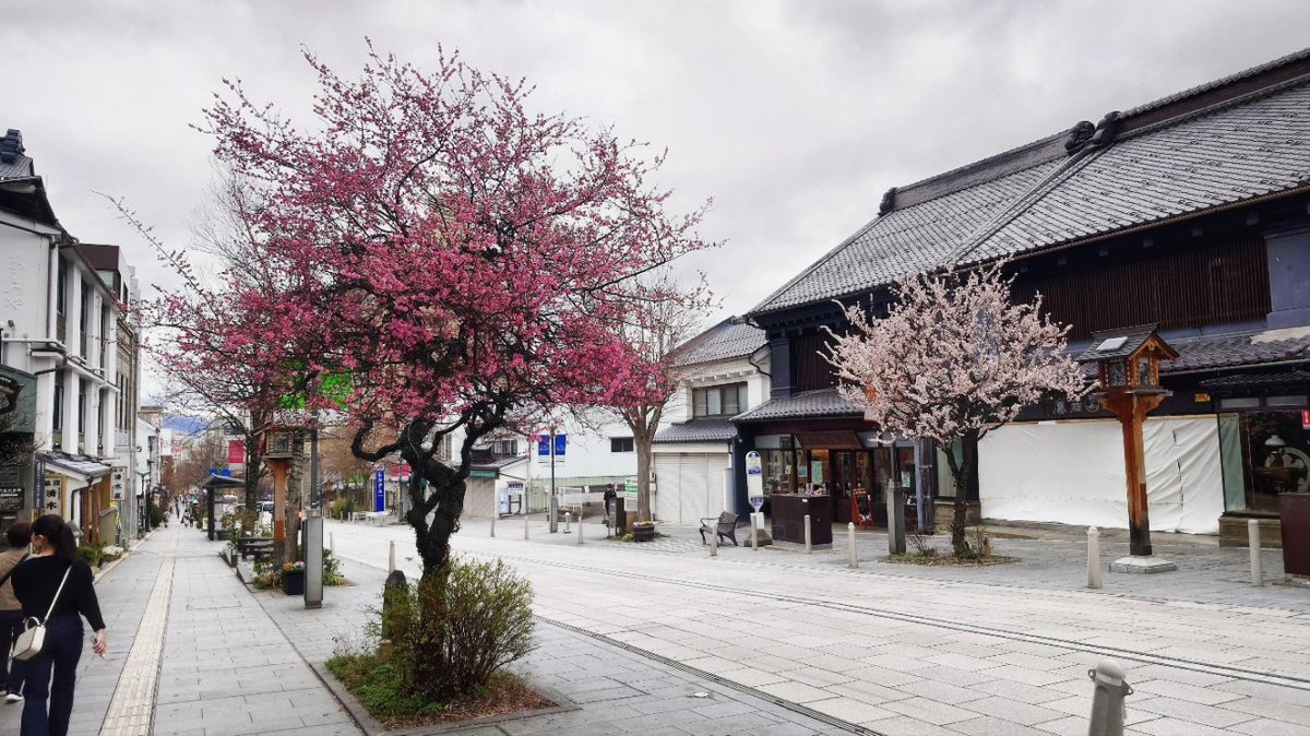loove_nagano's tweet photo. #春 の写真。 #ぱてぃお大門 #蔵 #桜 #長野市長野 #善光寺大門 #善光寺 #長野市 #長野 #spring #sakura #cherryblossom #patiodaimon #zenkoji #naganocity #nagano https://t.co/JIDKG3z7bh