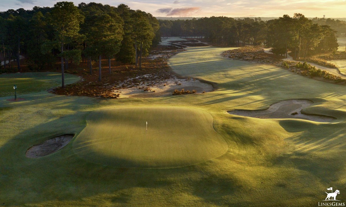 LinksGems tweet media