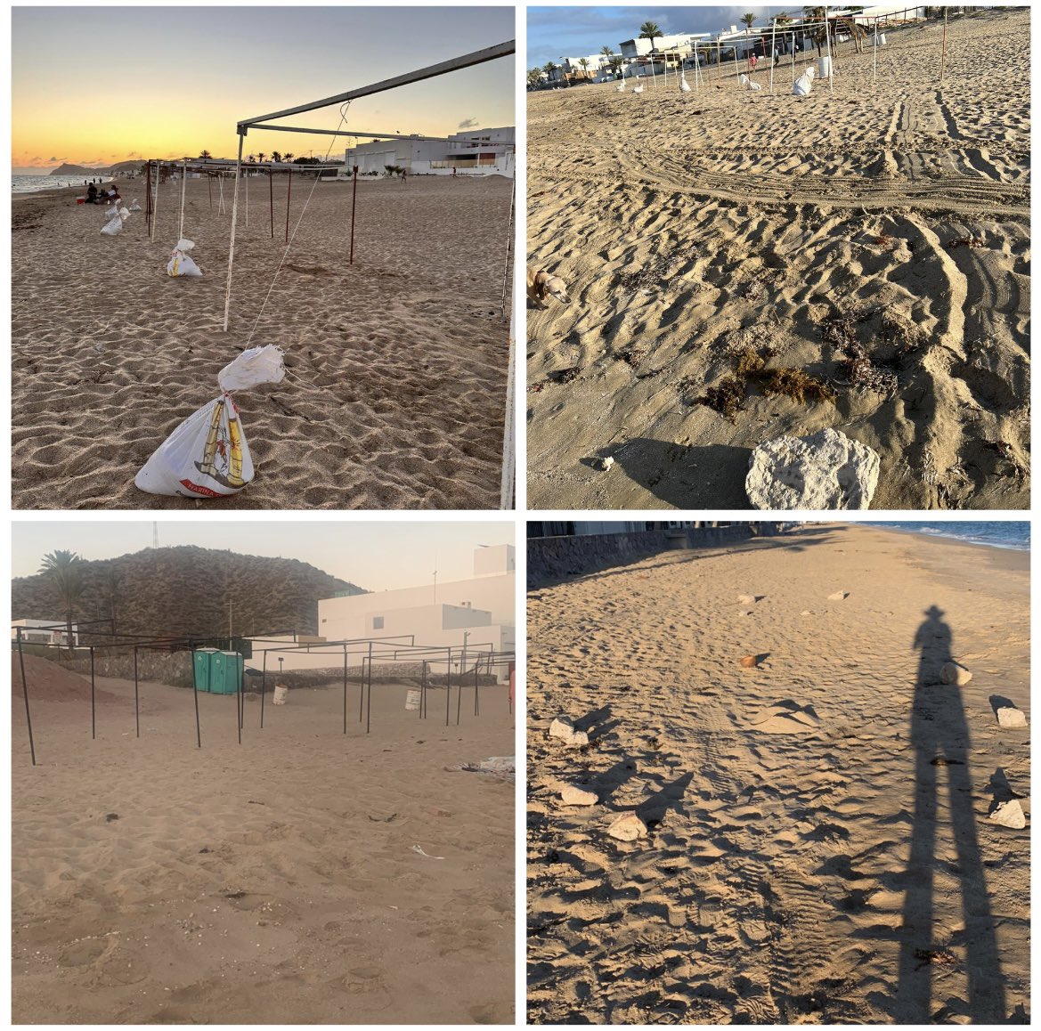 Alain Ballesteros tweet media