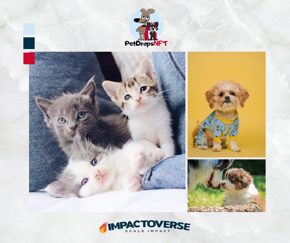 impactoverse's tweet photo. Pets and animal welfare NFTs leverage strong values-driven themes for increasing brand loyalty. Learn more at PetDrops.

Link in comments.

#pets #petlovers #animalwelfare #animallovers #nftcommunity #nft #causemarketing #brandloyalty #nftmarketing #impactoverse #petdrops https://t.co/xvriM7q4qW