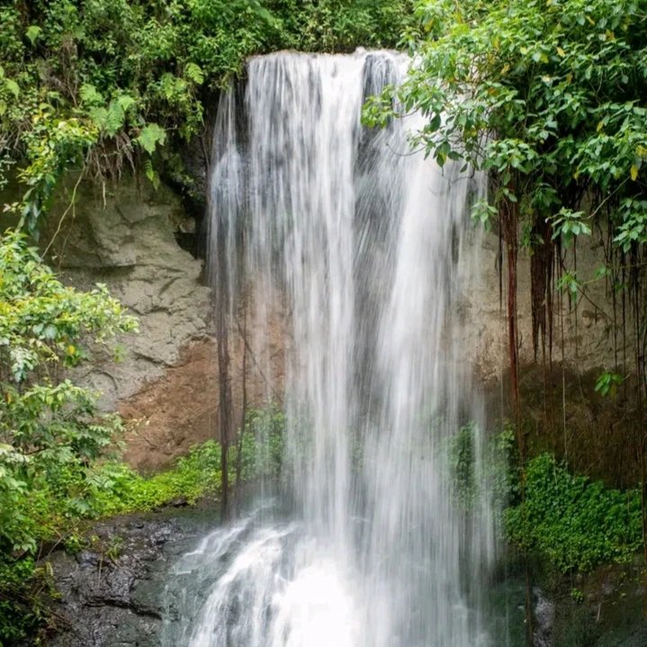 KopeTours's tweet photo. Have you explored  Mt Elgon National Park, a good hike for nature trails and treks. Enjoy amazing views of the waterfall and beautiful green forest.
📌KWS Mt. Elgon National Park 
Photo Credit: DARWY AFRIK Photography
Call us +2547 17 868 110
#traveltips #explorepage #discover https://t.co/vF1f9e6nB9