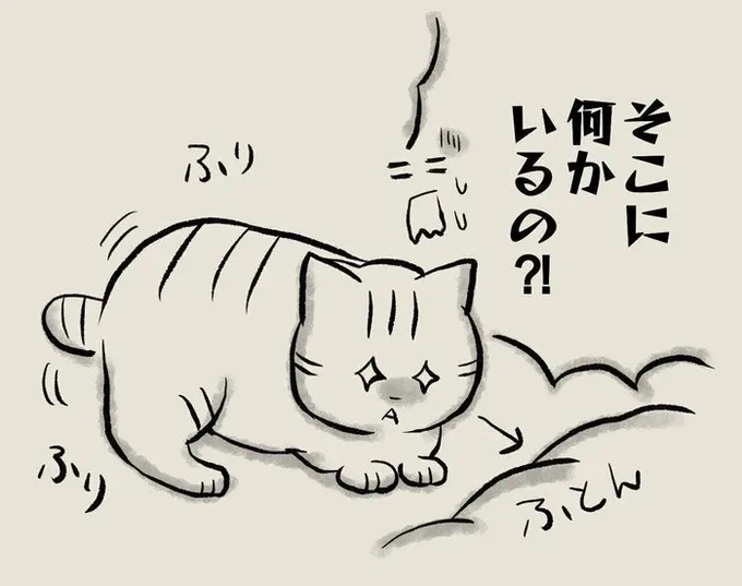 真夜中の狩りモードはいろいろな意味で心臓に悪い!【連載】交通事故にあった猫を拾いました#117|ねこのきもちWEB MAGAZINE 