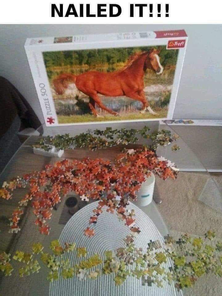 elasticaboy's tweet image. #jigsaw #Horses #puzzl
