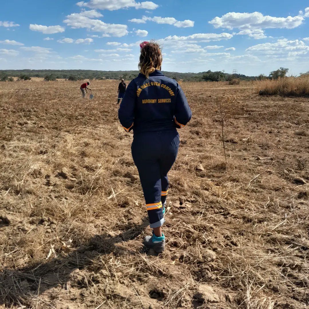 yofavagronomist's tweet photo. Being an entrepreneur comprises thoughts of wanting to quit everynight....
You don't know how many times i have said why go through all this...why not just send CVs and work like everyone.
I have attended several interviews this year wanting to quit this journey
But maybe 🤔 https://t.co/7RLgDVxLLx