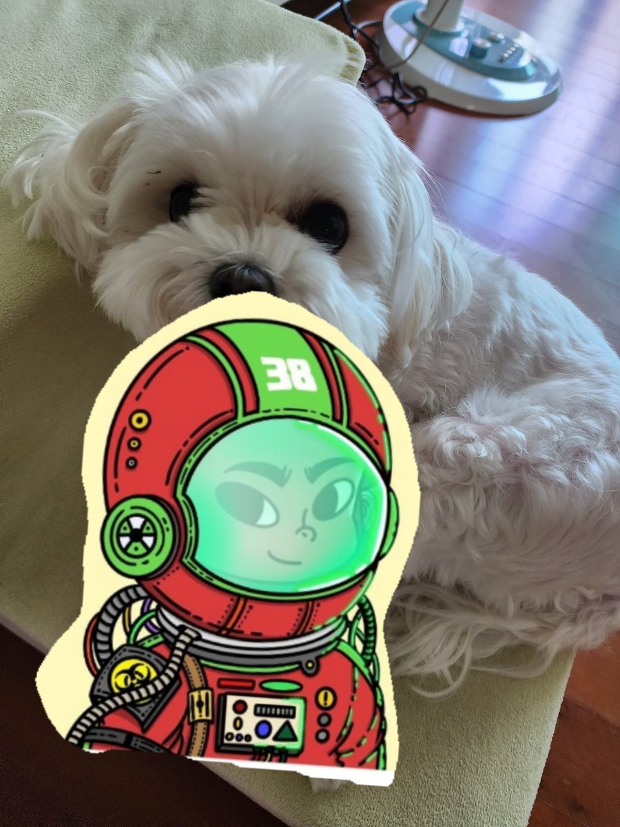 존버여신ㅡwhipony tweet media