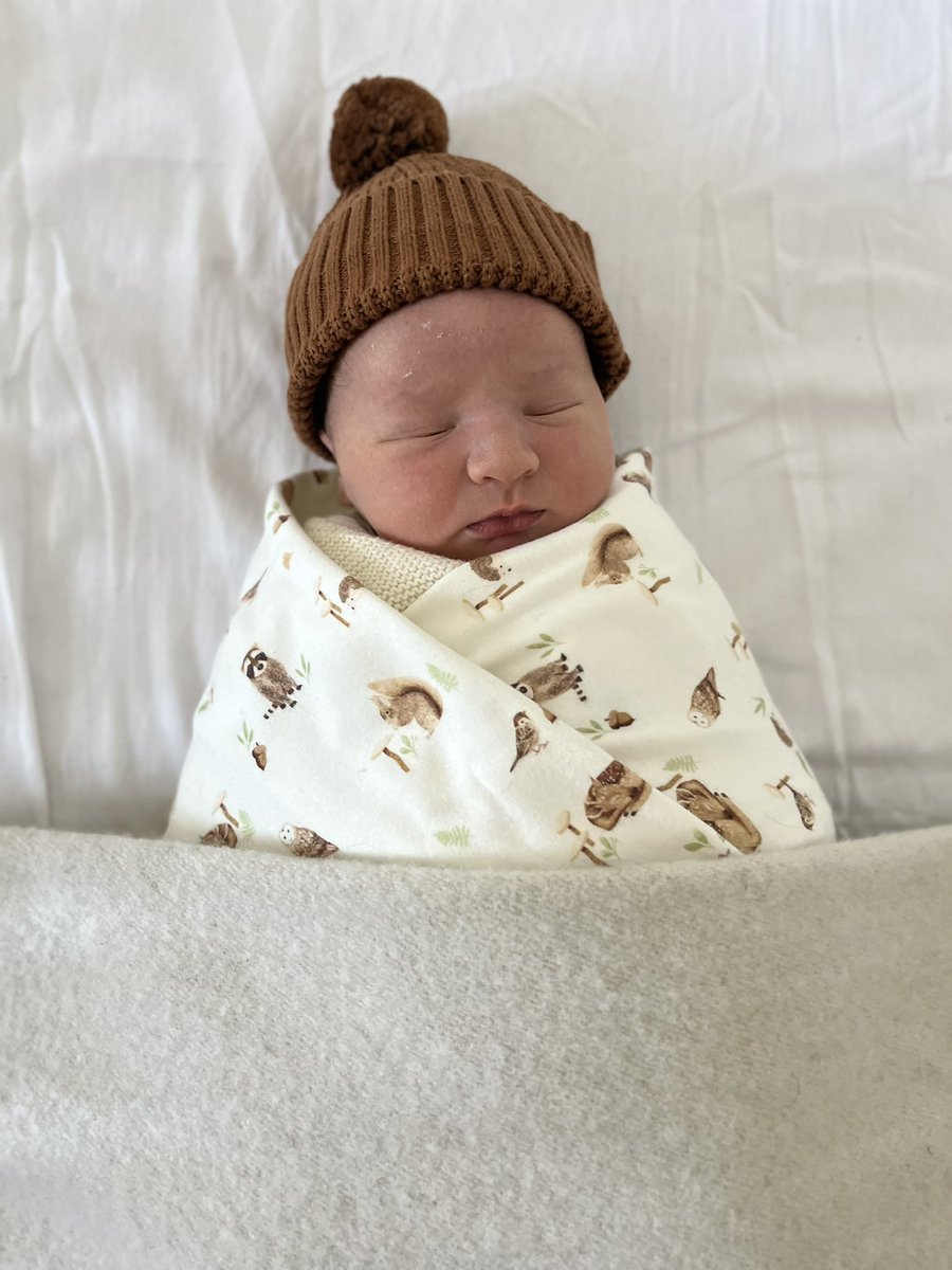 Damien Ractliffe tweet media