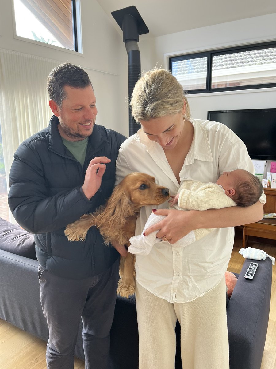 Damien Ractliffe tweet media