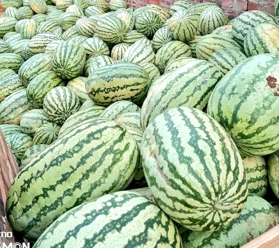 Mudumenwemari..Int'l tweet media