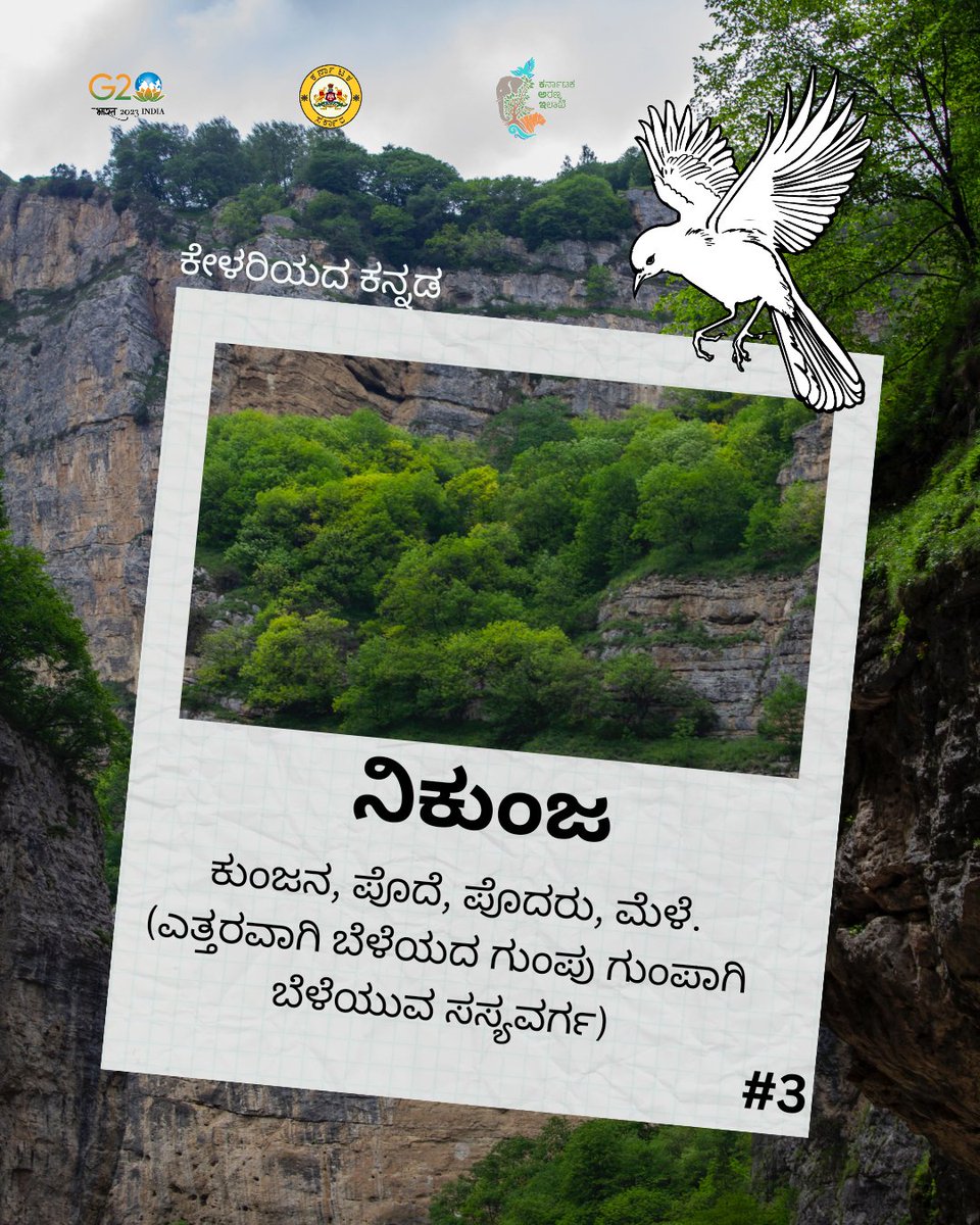 ಈ ವಾರದ ಪದ ನಿಕುಂಜ. ಕನ್ನಡ ಬಳಸಿ ಬೆಳೆಸಿ!
#KFDwordseries #Kannada #Forest #Language #newwords