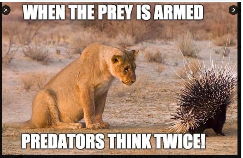 WatsonSpeaking's tweet image. The purpose of the 2nd Amendment: 
Self Defense against a tyrannical govt.
#GunControl = #PeopleControl