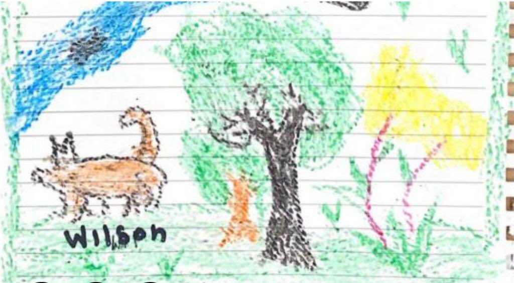 KristianAlmblad's tweet photo. 13-årige Leslys første tegning efter hun og tre søskende havde overlevet 40 dage alene i junglen. Wilson er den sporhund, der fandt de 4 børn efter flystyrtet i Colombias jungle. Genstart,@AnnaIngrisch og @P1radio sætter fokus på den vilde fortælling og miraklet i regnskoven https://t.co/GDzQLN1jVQ