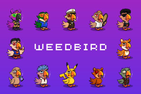 N E W  D R O P  H E R E 🔥

👾 Detailed and unique pixel art
🎨 1/1 Hand-drawn
🦜 Limited supply
🤑 Super affordable
🎁 Rewards to buyers
💌 Free NFT airdrop
🔗 Early access to the next phase 🔜

Buy, trade and collect on <a href="/opensea/">OpenSea</a> 
👉 bit.ly/weedbirdclub
