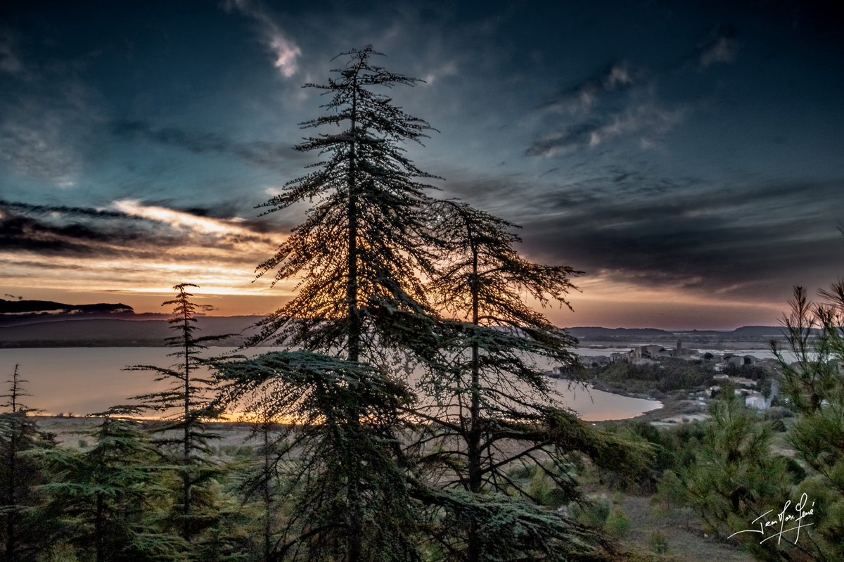 Lever de soleil sur les hauteurs de Bages. Un moment privilégié ! 

#bages #aude #jaimelaude #audetourisme #occitanie #leverdesoleil #sunrise #paysage #languedoc #landscape #nature #cotedumidi  #photo #photography #photoshoot #naturephotography #photographie #canon