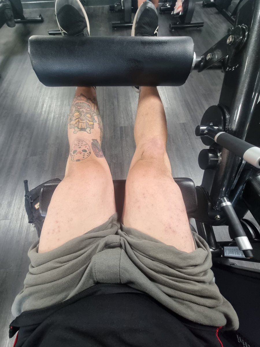 Leg