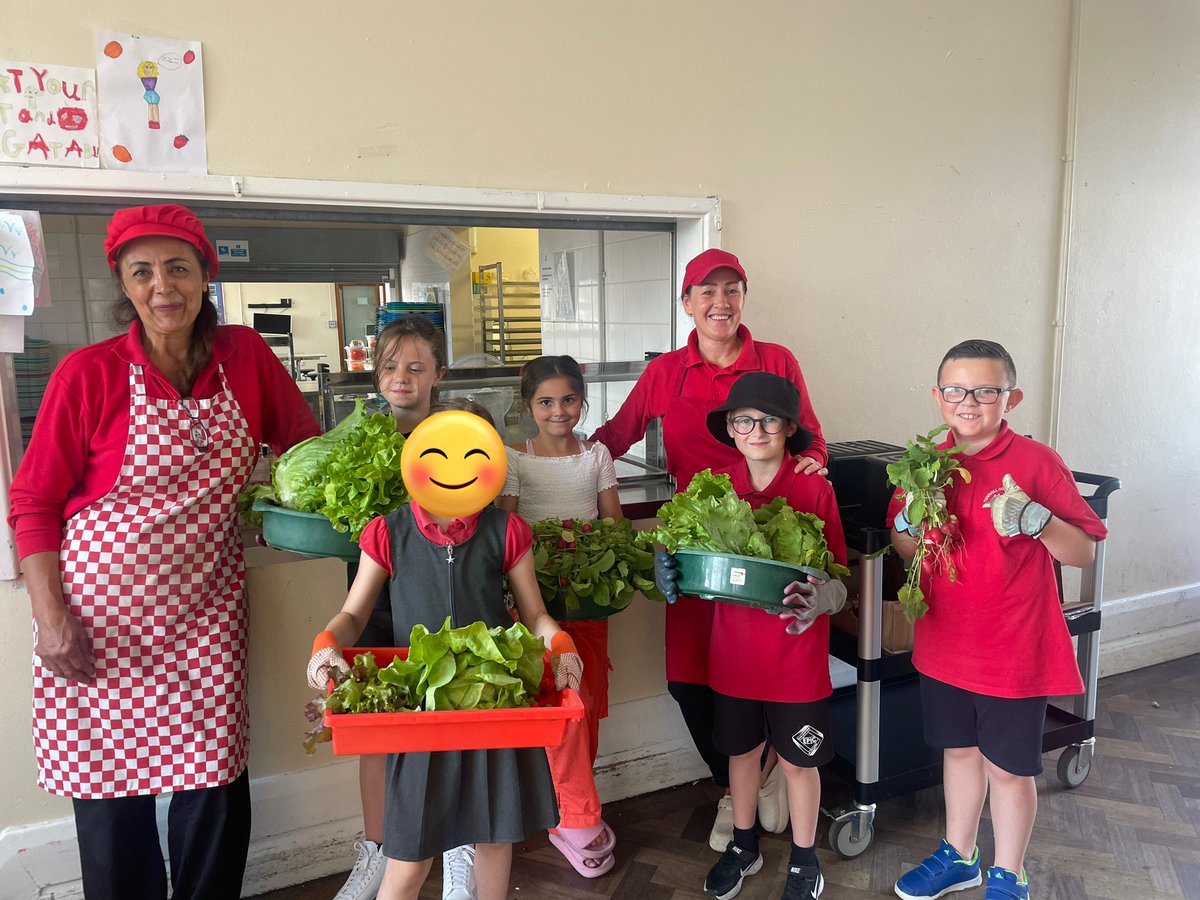 BubsyTownhill's tweet photo. Well being warriors topping up our salad cart in the dinner hall with produce grown in and picked fresh today from our garden Thanks to Justine and Cinar for preparing the food ready for lunchtime #TCSHW #tcs4purposes https://t.co/WTIIQkv7OL