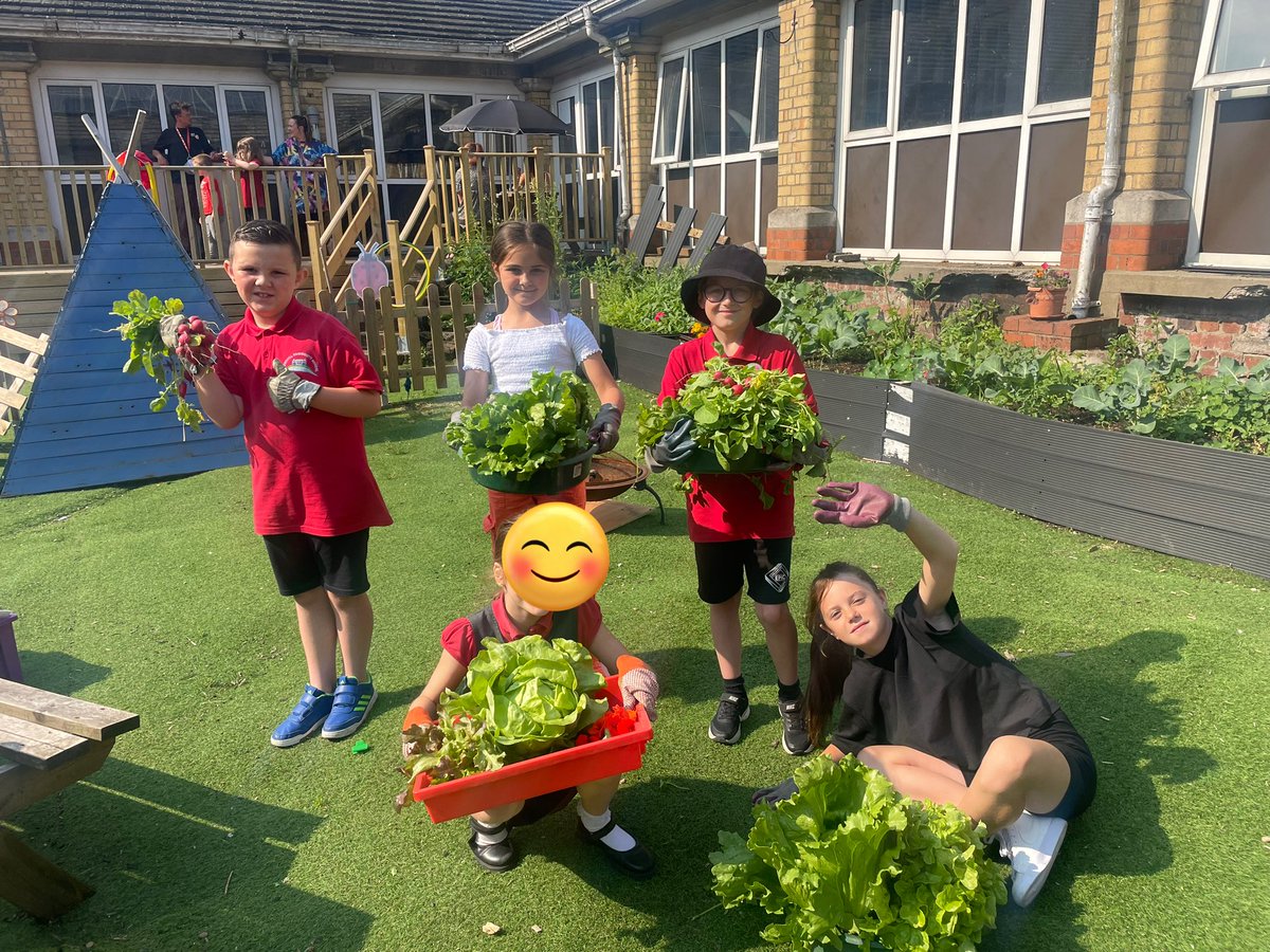 BubsyTownhill's tweet photo. Well being warriors topping up our salad cart in the dinner hall with produce grown in and picked fresh today from our garden Thanks to Justine and Cinar for preparing the food ready for lunchtime #TCSHW #tcs4purposes https://t.co/WTIIQkv7OL