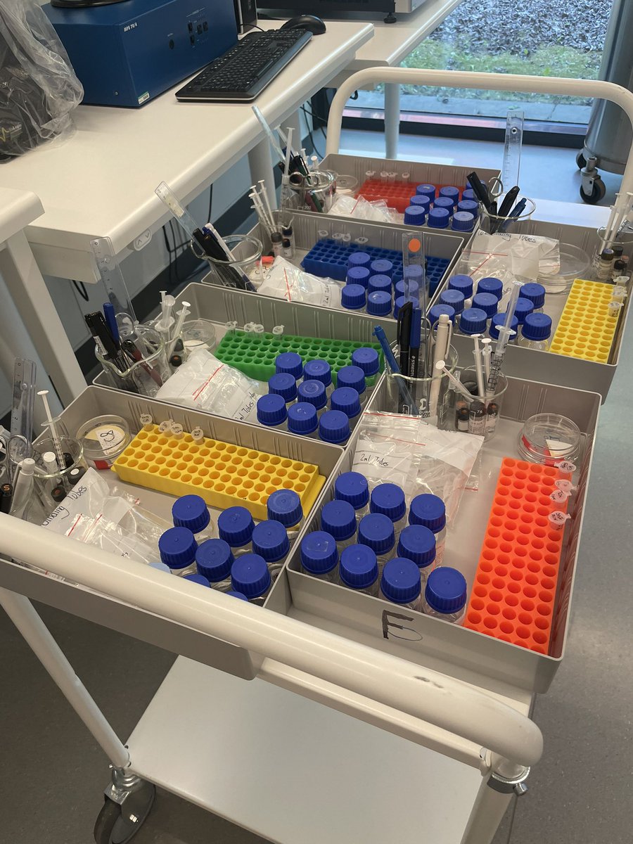 pia_jens's tweet photo. Very excited to start the @EMBO practical course on PTMs in cell signalling this morning🤩 Looking forward to an intense week with great talks, lab work, networking etc👩‍🔬🧫🍻🎳🥳@bmbSDU #EMBOmodifications23 #proteomics https://t.co/Wifkh4k4a7