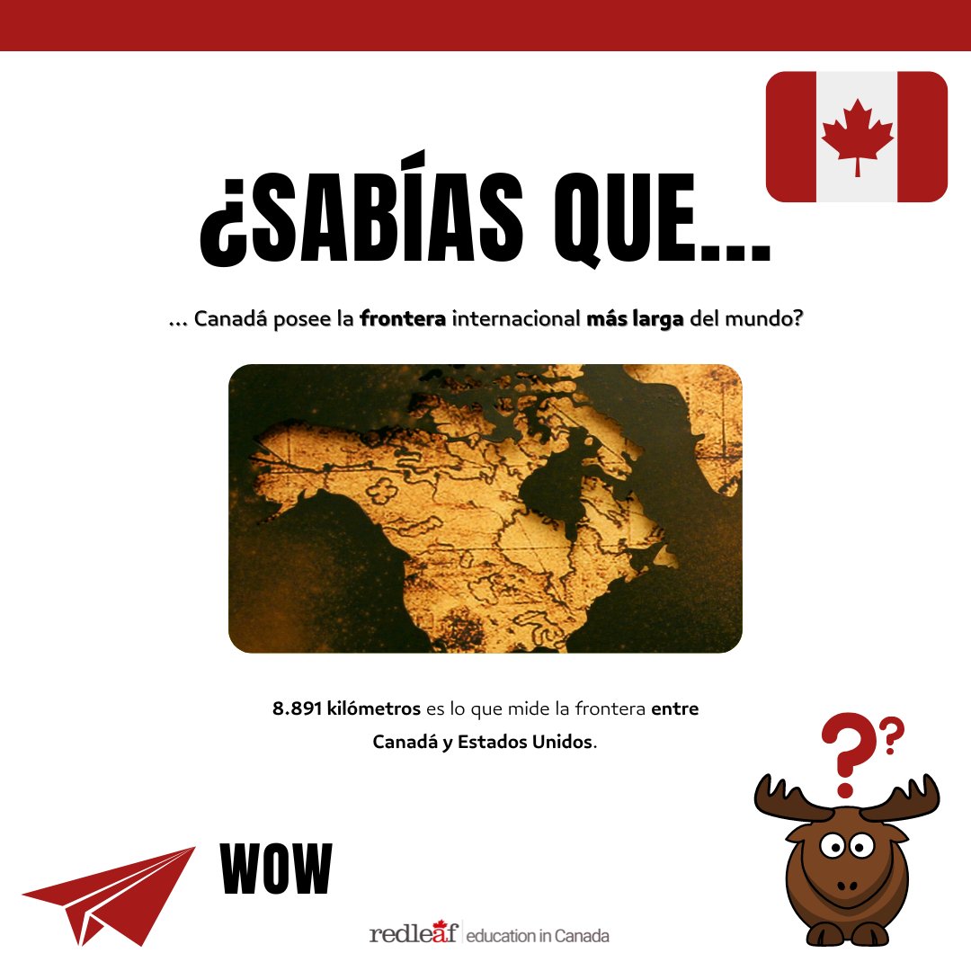 Red Leaf España tweet media