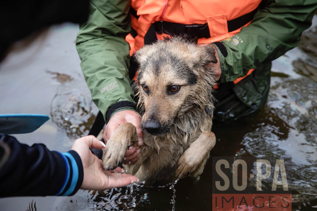 sopaimages's tweet image. #Massiveflooding has occurred in villages along the #DniproRiver in #Kherson, #Ukraine on Jun 7, 2023. After the #destruction of the #KakhovkaDam inundating communities along the river &amp;amp; dangerously dropping water levels in the communities. 📷 Matthew Hatcher &amp;amp; Mykhaylo Palinchak