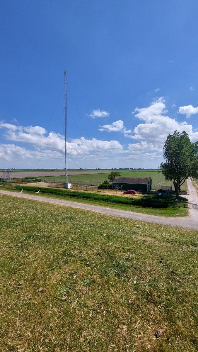 A very nice station visit to #Lutjevad. I can clearly smell the aerosol forming compounds today. Ammonia is involved for sure! Walking to the shore reveals another source of precursors: kelp! This could be the perfect location to study bases for me. #BAEproject