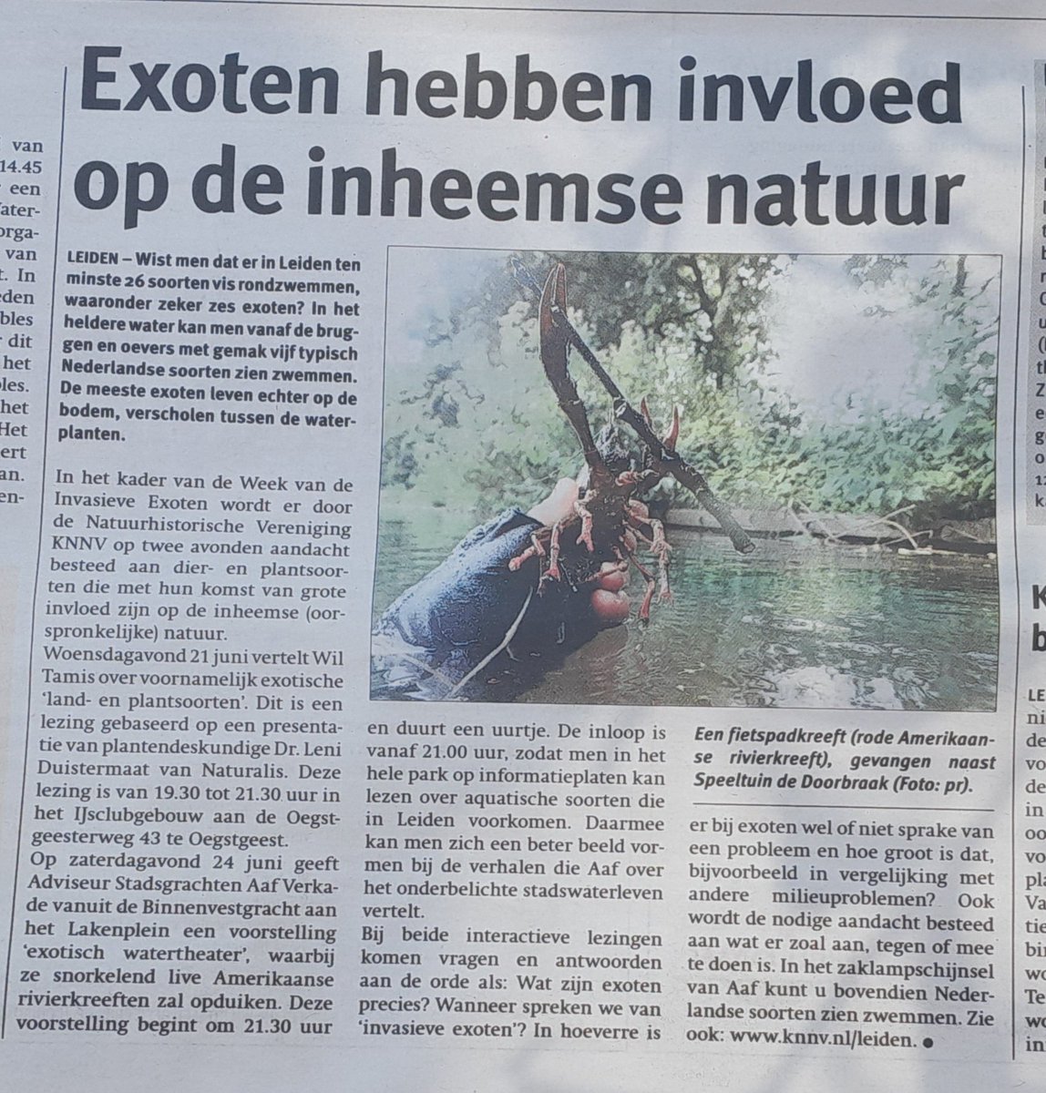 2 lezingen in #Leiden in het kader van de Week van de Invasieve Exoten #wvdie; over landplanten en -dieren en over stadswaterdieren.
@IVN_Leiden @IVNNederland @KNNVvereniging @RAVON @InvasieveExoten @museumnaturalis @Stadsgrachten #stadsnatuur #zoetwater #rivierkreeften 🦞🦀🤿