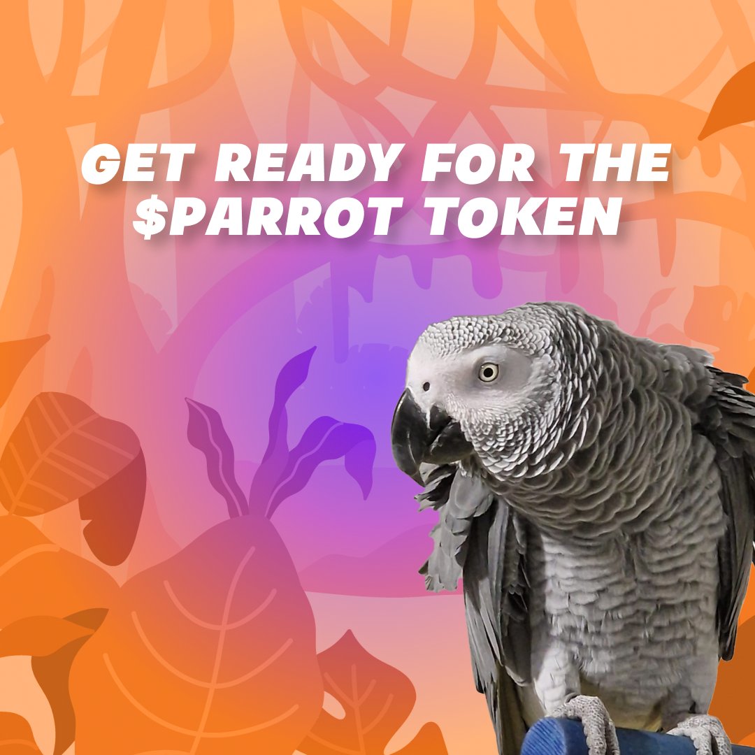 hugotheparrot's tweet photo. Get ready for the $PARROT token! 

With a planned supply of 10M tokens, we're aiming to make a difference in the world of parrot conservation. Stay tuned for our listings on Orca DEX and Jupiter Aggregator. 

#HugoToken #CryptoConservation https://t.co/cCfp8iXcdi