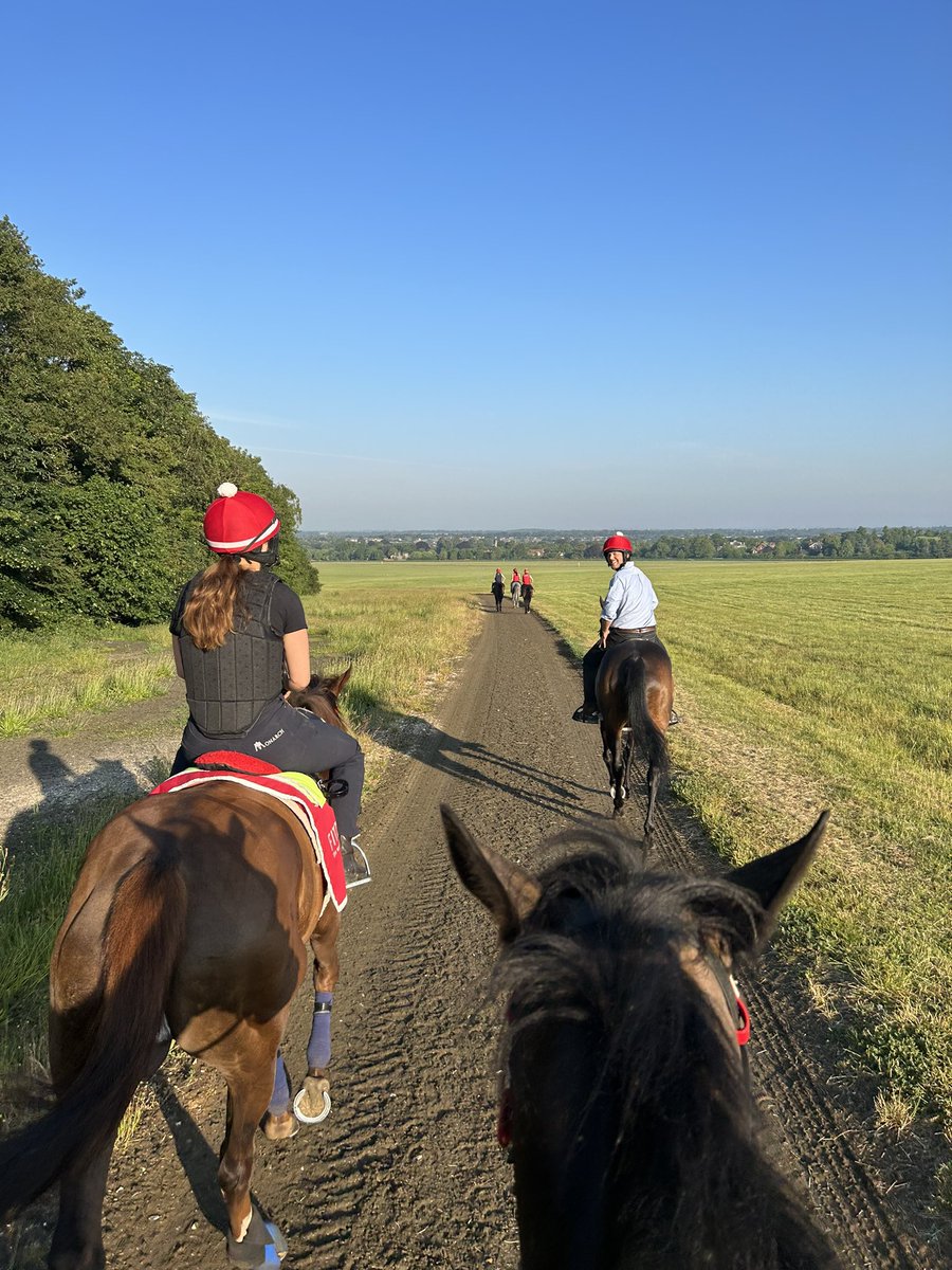 LGibsonBrabazon's tweet photo. After a very good day at the office yesterday @FellowesRacing swapped a cap for a new lid to be part of the action with his team on the Heath! 

📍 @kemptonparkrace 🥇🥈
📍 @haydockraces 🥇

Next stop 👑🎩 

#NeckStrap https://t.co/Ou94rVbIim