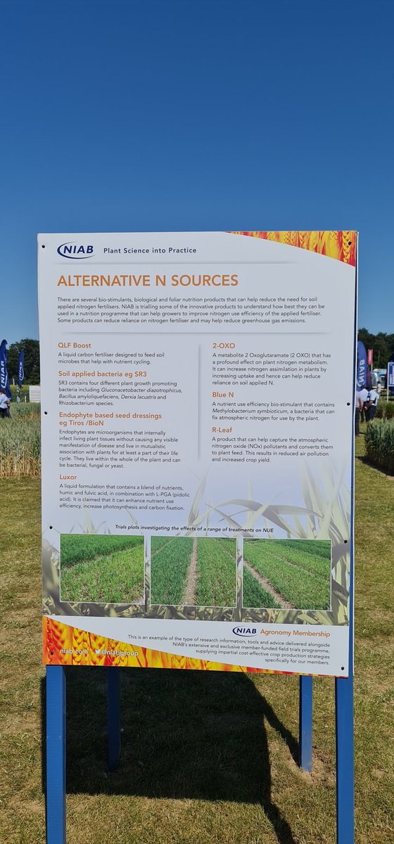 Great day at #Cereals23 and nice to see R-Leaf recognised by NIAB as one of the Alternative Nitrogen Sources enabling reduction of N applications without the need to establish bacteria or stimulate plants so ensuring consistent results! #regenag #sustainablefarming #forfarmers