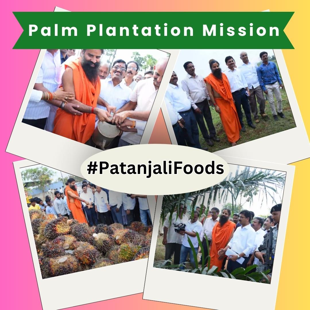 हम करीब एक करोड़ अब ये  Palm Plantation Mission तैयार कर चुके हैं और आने वाले पाँच से छह वर्षों मेंआगे इसको आठ से दस करोड़ करने की तैयारी है I
 #PatanjaliFoods