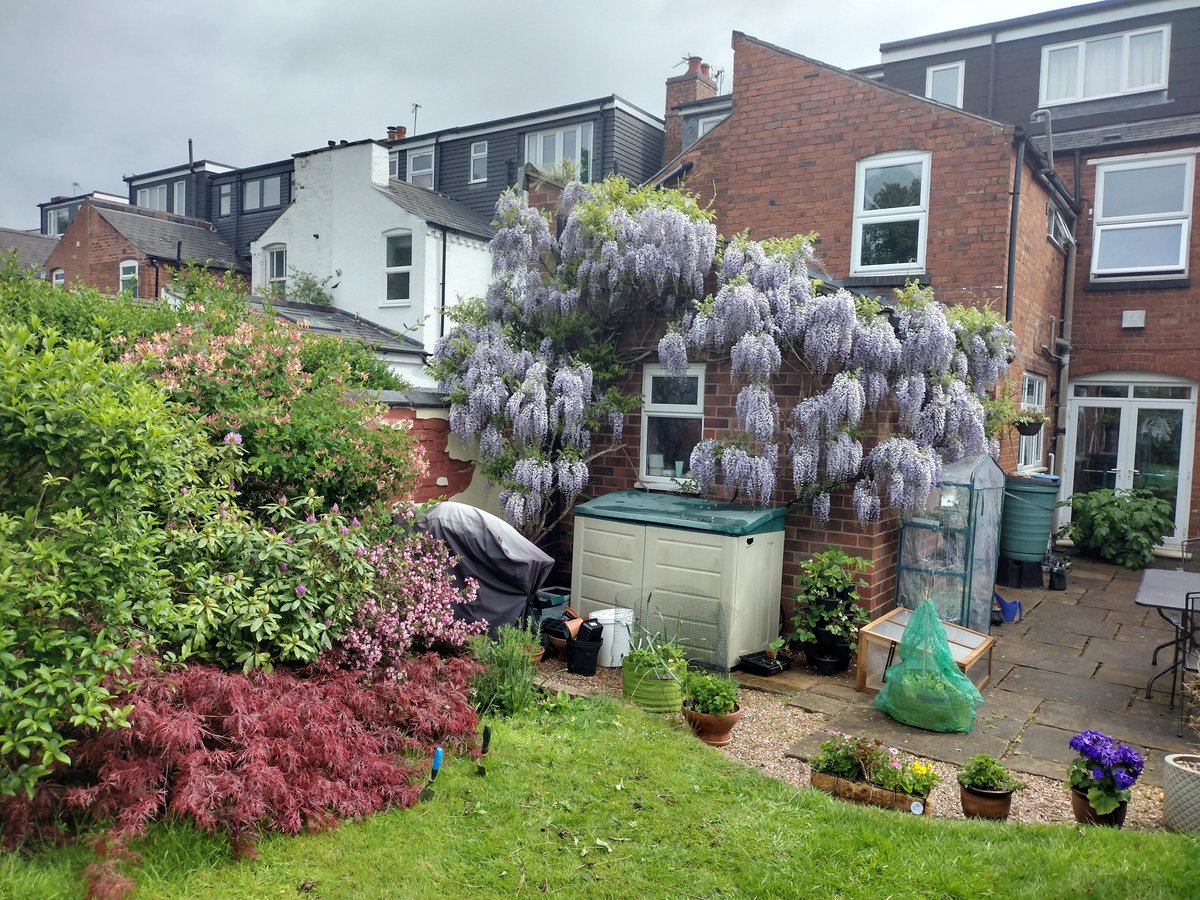 EnglandsEstates's tweet photo. Englands are selling this beautiful Edwardian property on Wood Lane, Harborne.

Call us now to book a viewing! This property in pristine, modern condition and ready to be used as an entertainment space or family home.

https://t.co/gS1sdD6HVC https://t.co/eNrF1072Uw