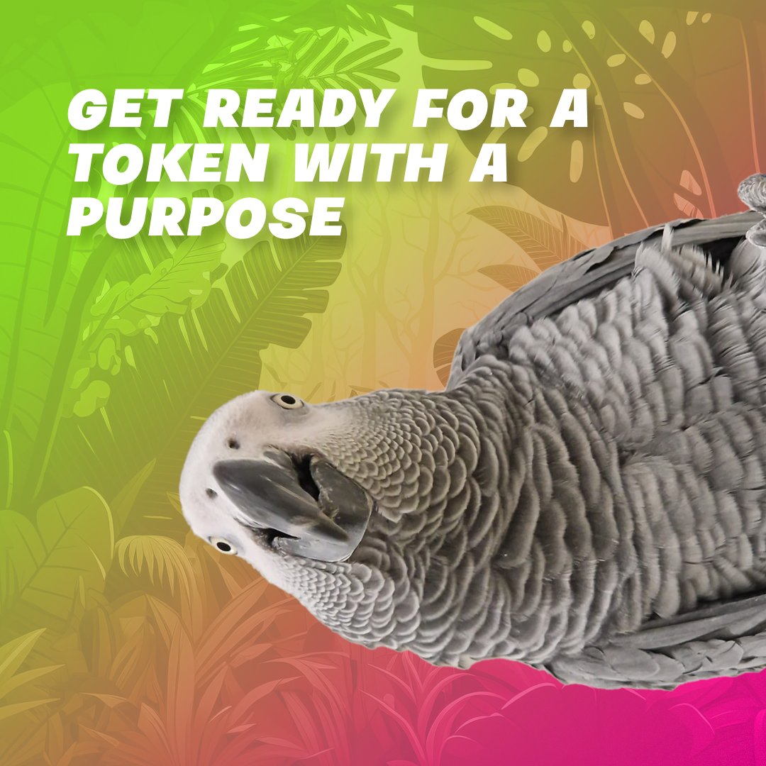 hugotheparrot's tweet photo. With 10% of $PARROT's supply, our Pre-Launch is set to kickstart our project. Funds will be used for promotional incentives, community management, and preparing for a major exchange listing. 

Get ready for a token with a purpose! 🦜🌍 

#HugoTokenLaunch #CryptoConservation https://t.co/YsDriIk7gk