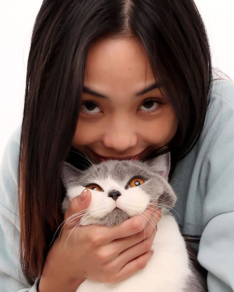 philstarlife's tweet photo. HAPPY BIRTHDAY, SHAGGY! 🎂🐱

#MaymayEntrata's pet Shaggy turned 1.

Check out other celebrity cat lovers: https://t.co/6mNuViMHz5

📷 Maymay Entrata/Instagram https://t.co/LnG11h9IHz