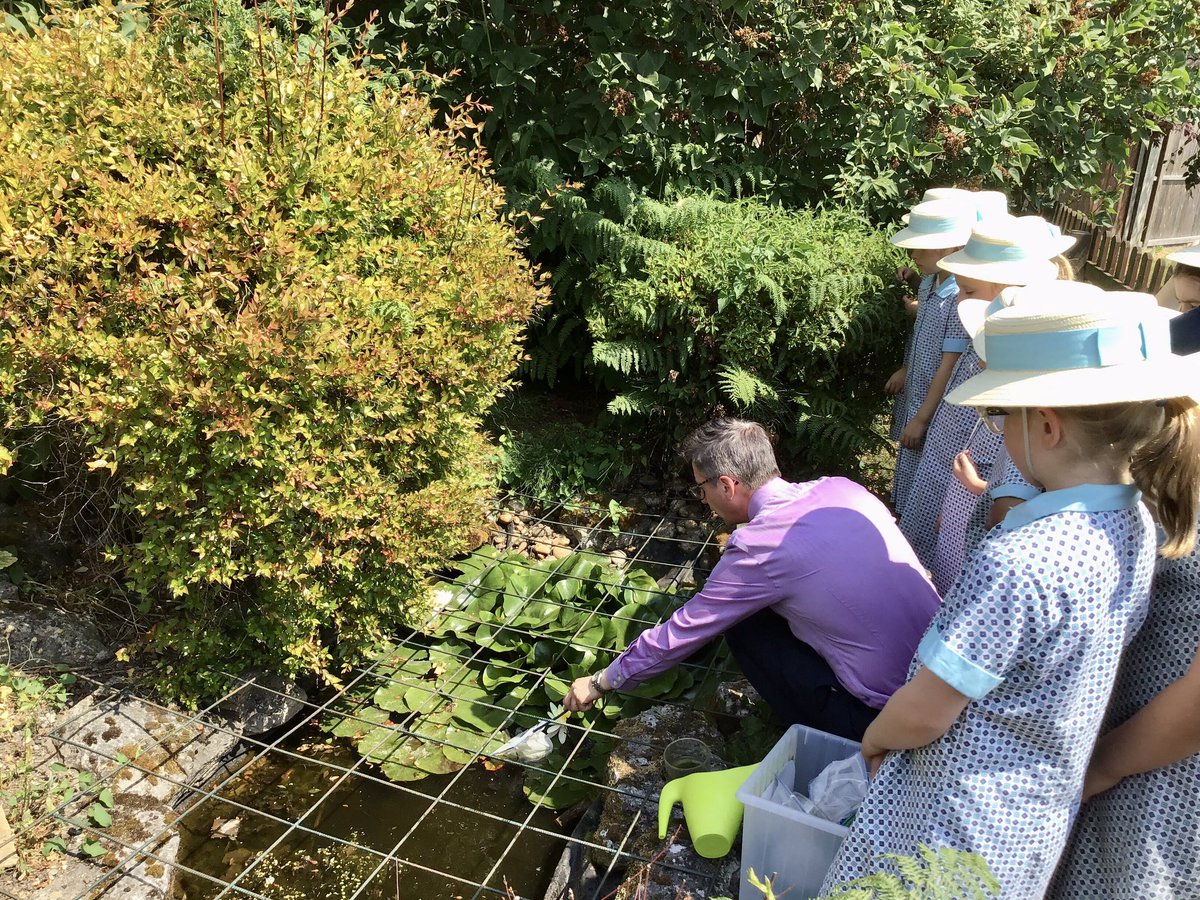 HalsteadPrepSch's tweet photo. Year 2 enjoyed an exciting afternoon pond dipping in our lovely grounds. The children identified lots of different pond creatures and used their observation skills to draw and label what they had discovered. #handsonlearning #ponddipping #fun https://t.co/sRBa8yoIGi