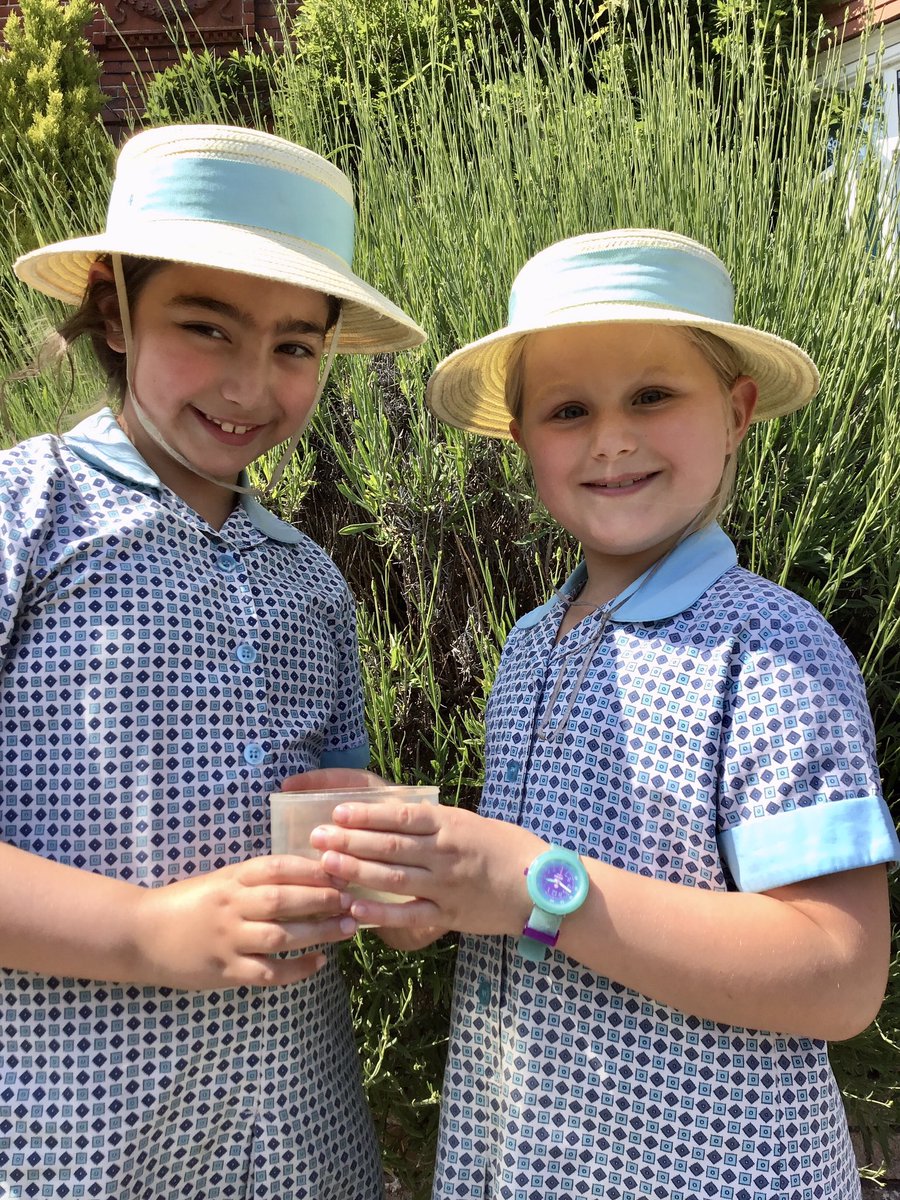 HalsteadPrepSch's tweet photo. Year 2 enjoyed an exciting afternoon pond dipping in our lovely grounds. The children identified lots of different pond creatures and used their observation skills to draw and label what they had discovered. #handsonlearning #ponddipping #fun https://t.co/sRBa8yoIGi