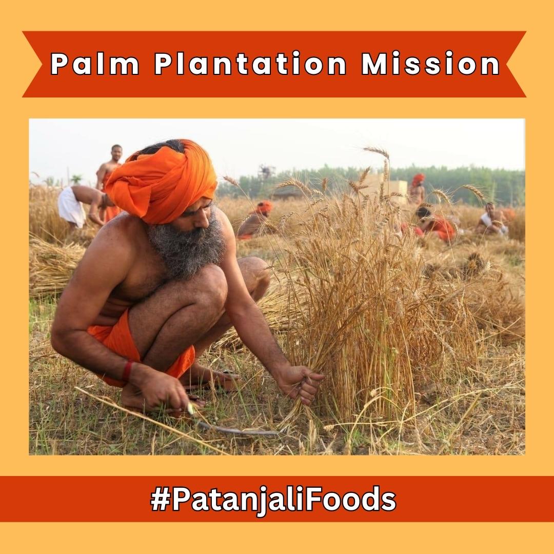 Congratulations patanjali
Today I am proud to say that we have done a turnover of thirty one thousand crores in the financier.  Seventy-two percent of that we did with FMCG and Food Palm Plantation Mission. #PatanjaliFoods
@yogrishiramdev 
@Ach_Balkrishna 
@rakesh_bstpyp