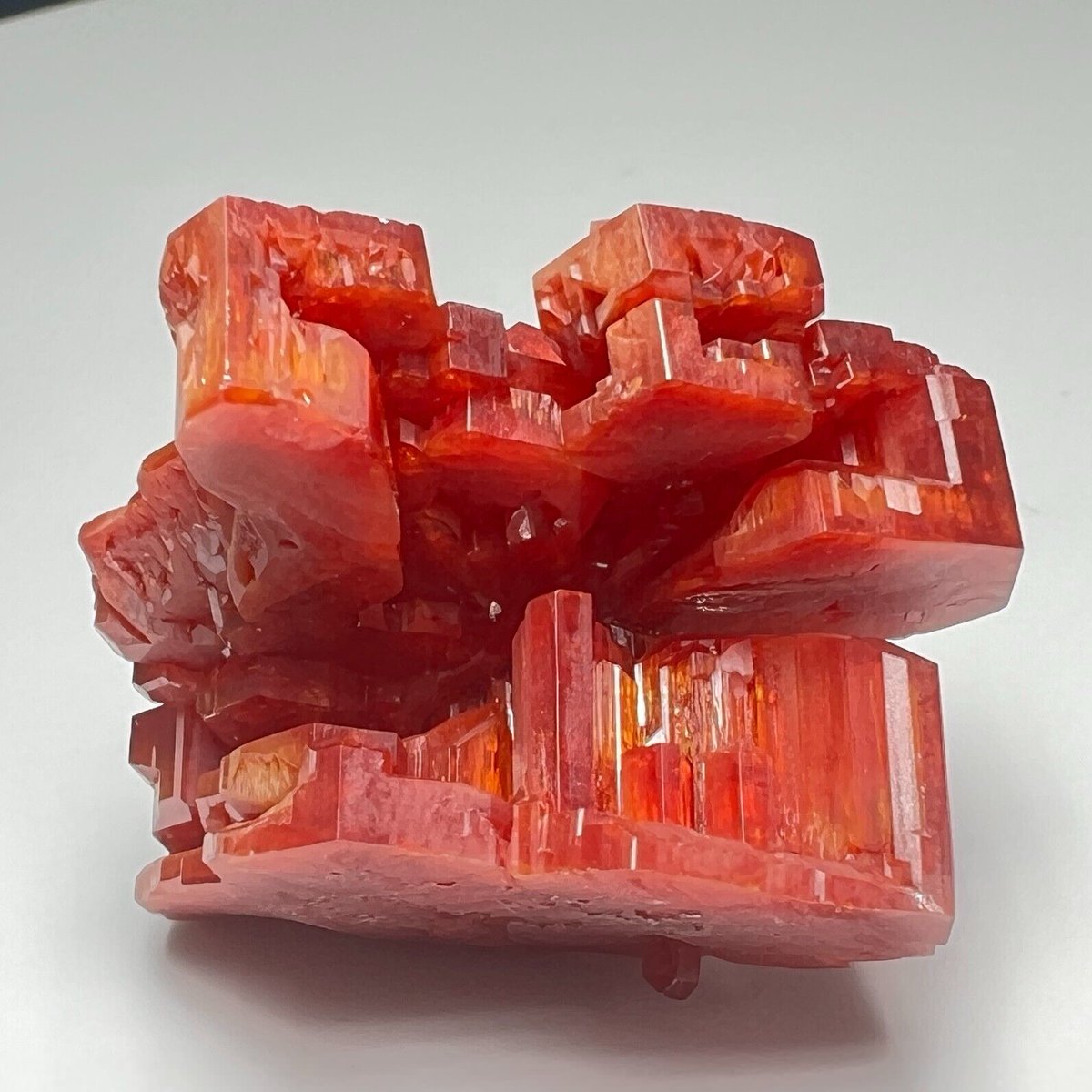 Fine Large Hoppered Vanadinite Crystal: Mibladen, Draa-tafilalet Region, Morocco

Photo: Persson Rare Minerals

#minerals