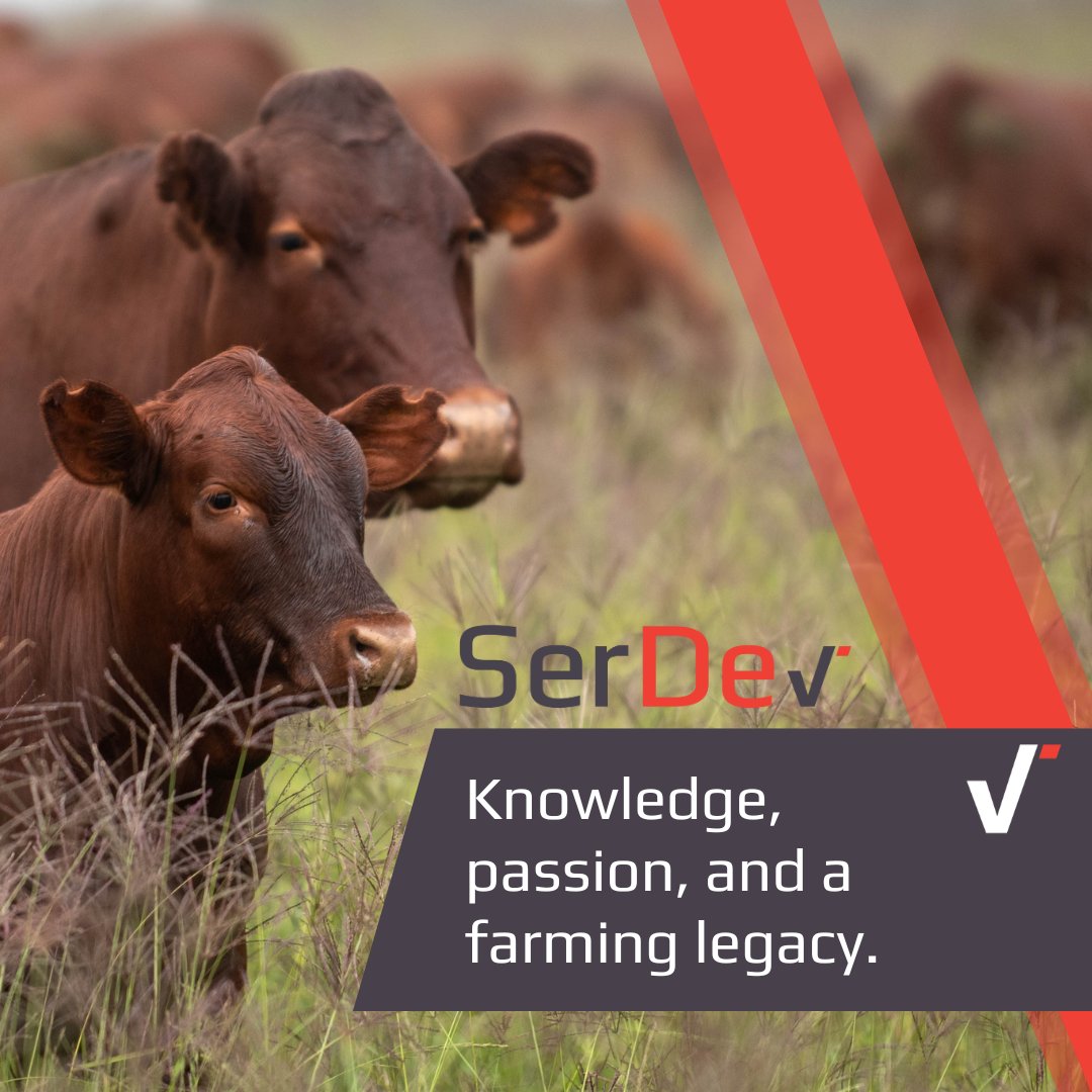 Farming is not just a livelihood; it's a legacy that can be passed on for generations. Discover how to successfully transfer your agricultural business to the next generation in our latest article. #PassingOnTheLegacy #AgriculturalHeritage

Read more: serdev.co.za/how-to-pass-on…
