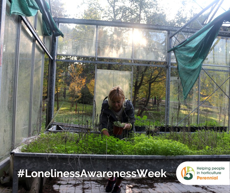 Some roles in horticulture can be lonely, especially if you’re a sole gardener or self-employed. If you're feeling isolated, try our Health & Wellbeing platform/app for advice & support for your mental wellbeing: perennial.org.uk/home/ways-we-c… 
#PerennialHelps #LonelinessAwarenessWeek