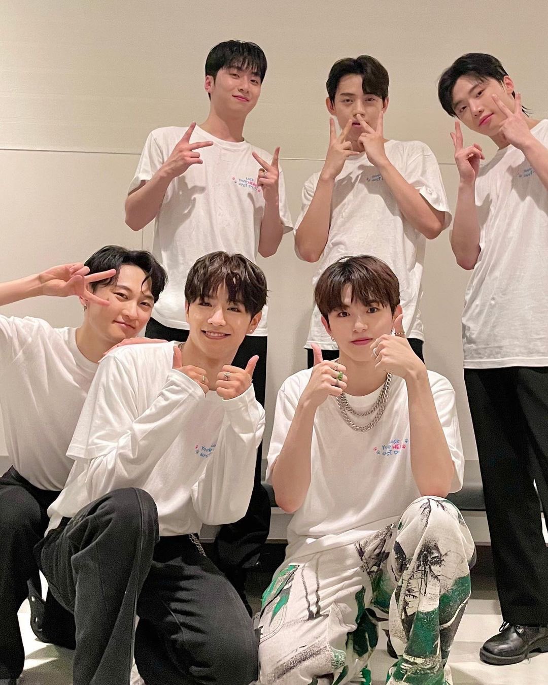 正規販売店 王子浩 ワンズハオ ペンライト 非公式 ボイプラ